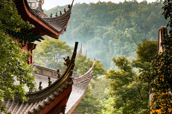 Escursione privata a Hangzhou