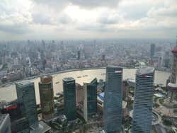 Torre Jin Mao, viste